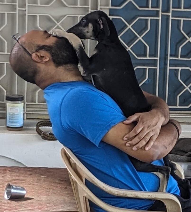 A Picture of Kanni Dog